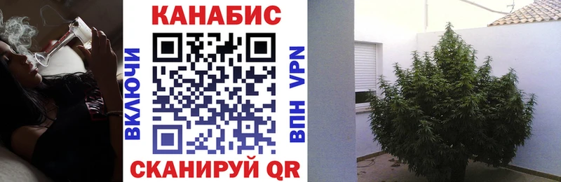 Где найти наркотики Кизляр ГАШ Каннабис КОКАИН Меф