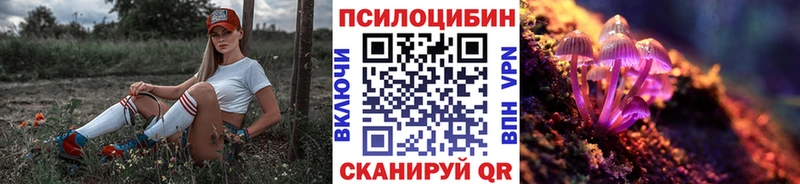 цена   Кизляр  Псилоцибиновые грибы прущие грибы 