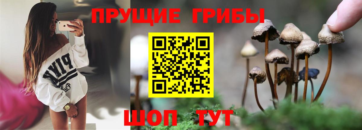 Кизляр  Псилоцибиновые грибы мицелий  Вход с VPN  Галлюциногенные грибы Cubensis 
