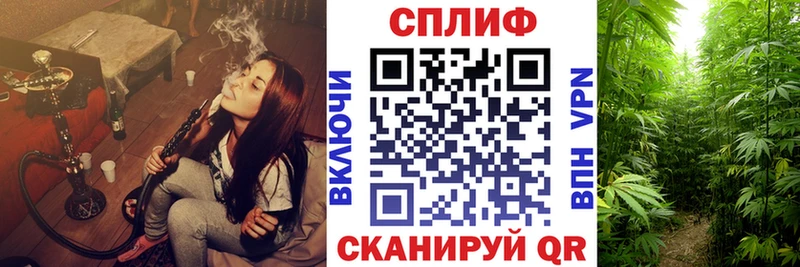 гидра зеркало  Кизляр  Каннабис OG Kush  наркошоп 